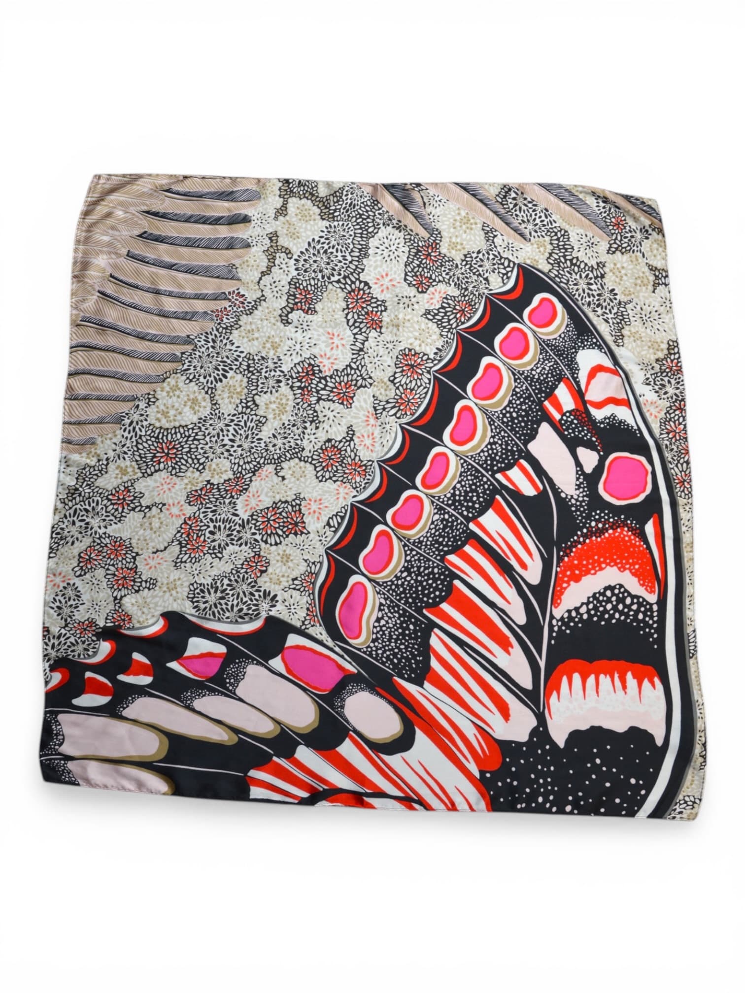 Gawroszka skrzydło motyla